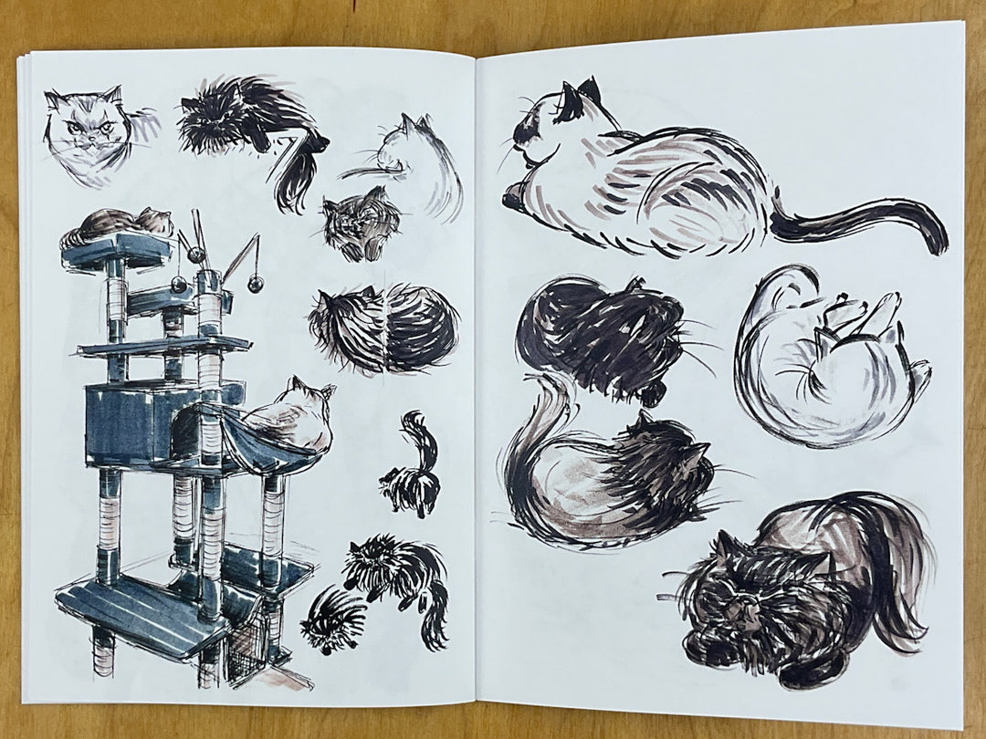 Analog: A Collection of Traditional Sketches by Gina Nguyen - Signed with a Drawing