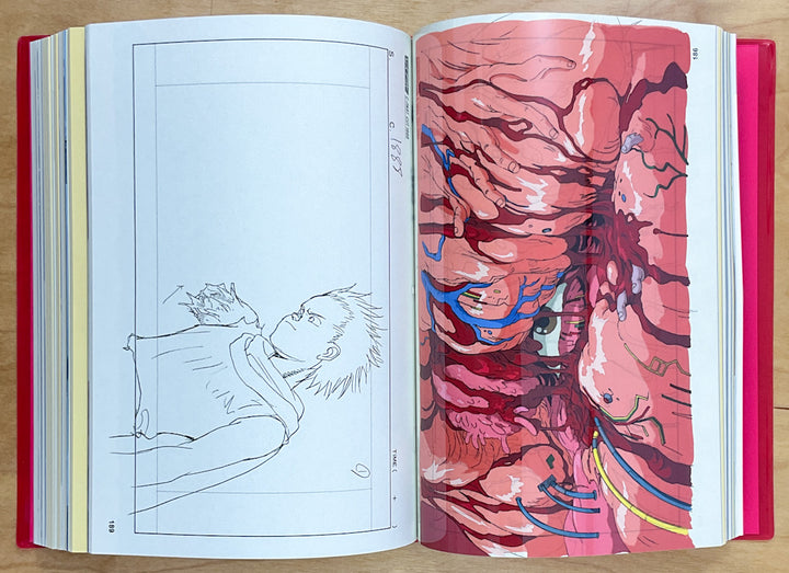 Otomo The Complete Works 25: Akira Layouts & Key Frames 3
