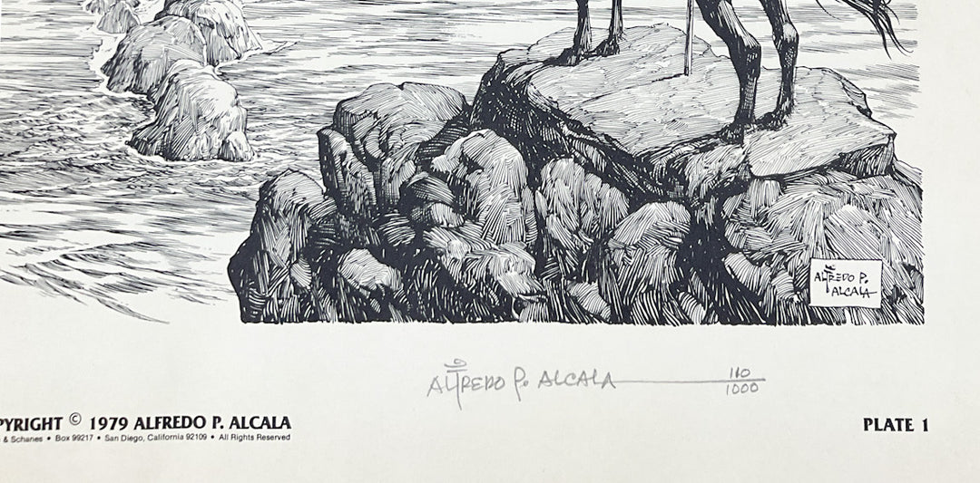 Voltar Portfolio - Signed & Numbered