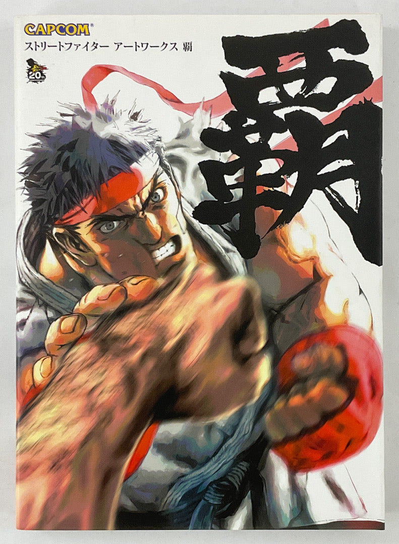 Street Fighter Art Works