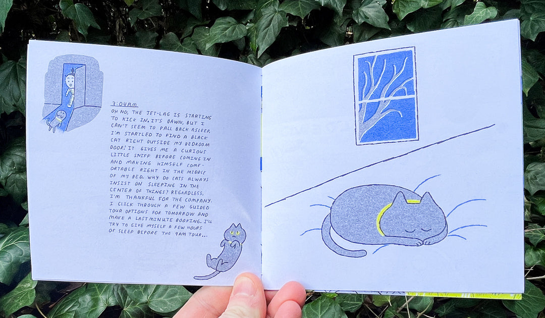 Iceland Travel Zine by Min Heo