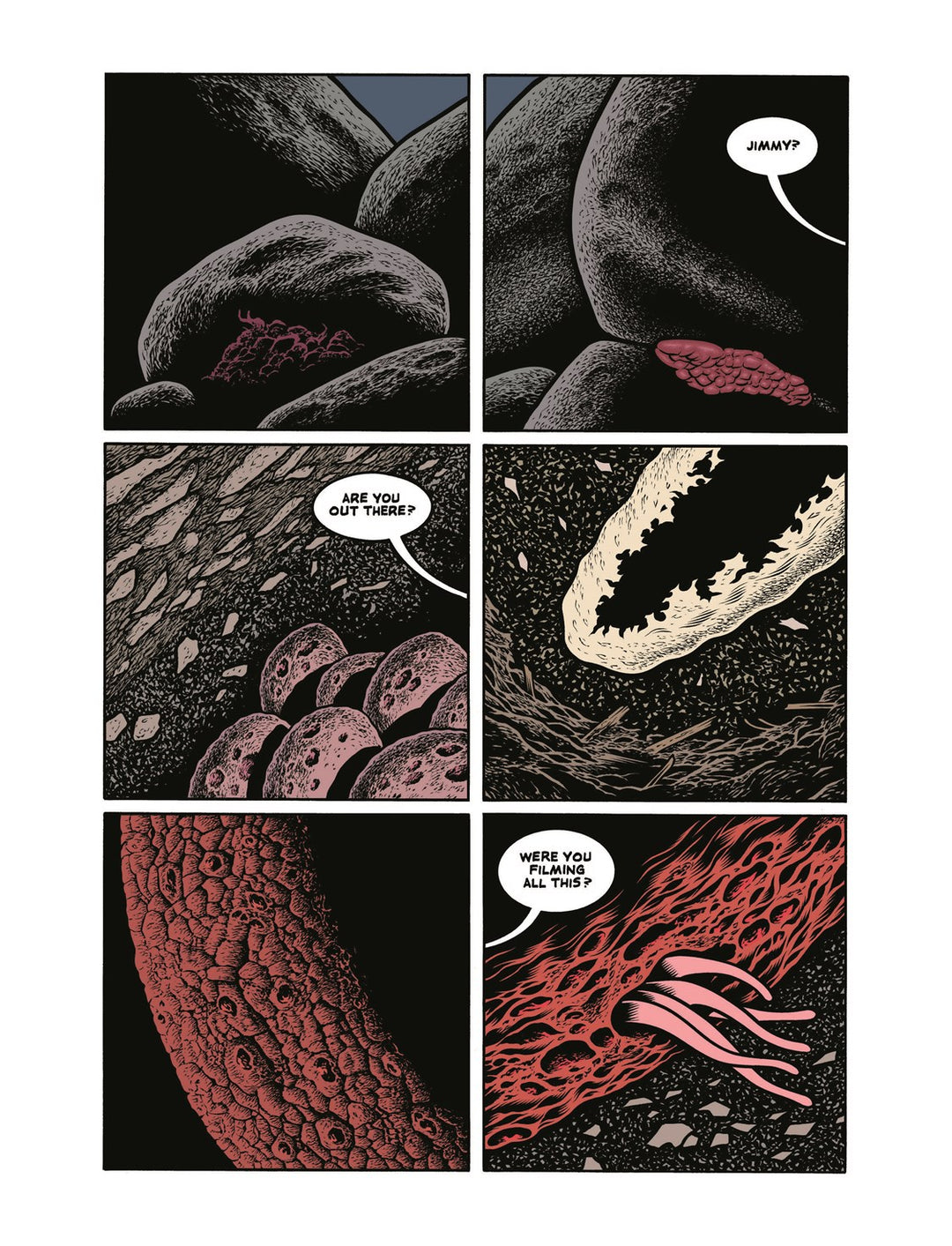 Final Cut - First Printing