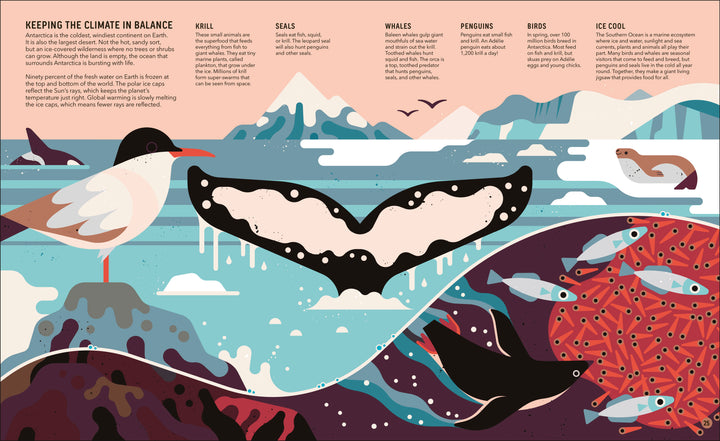 Zoom Out: Natural World