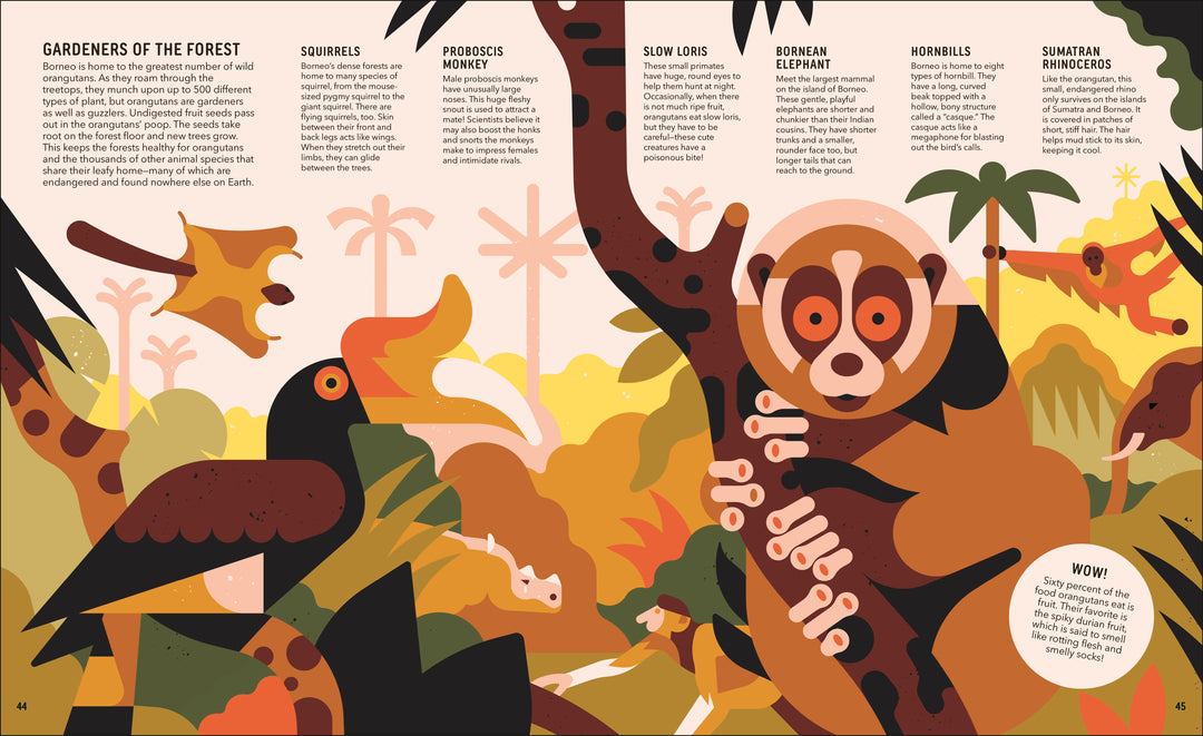 Zoom Out: Natural World