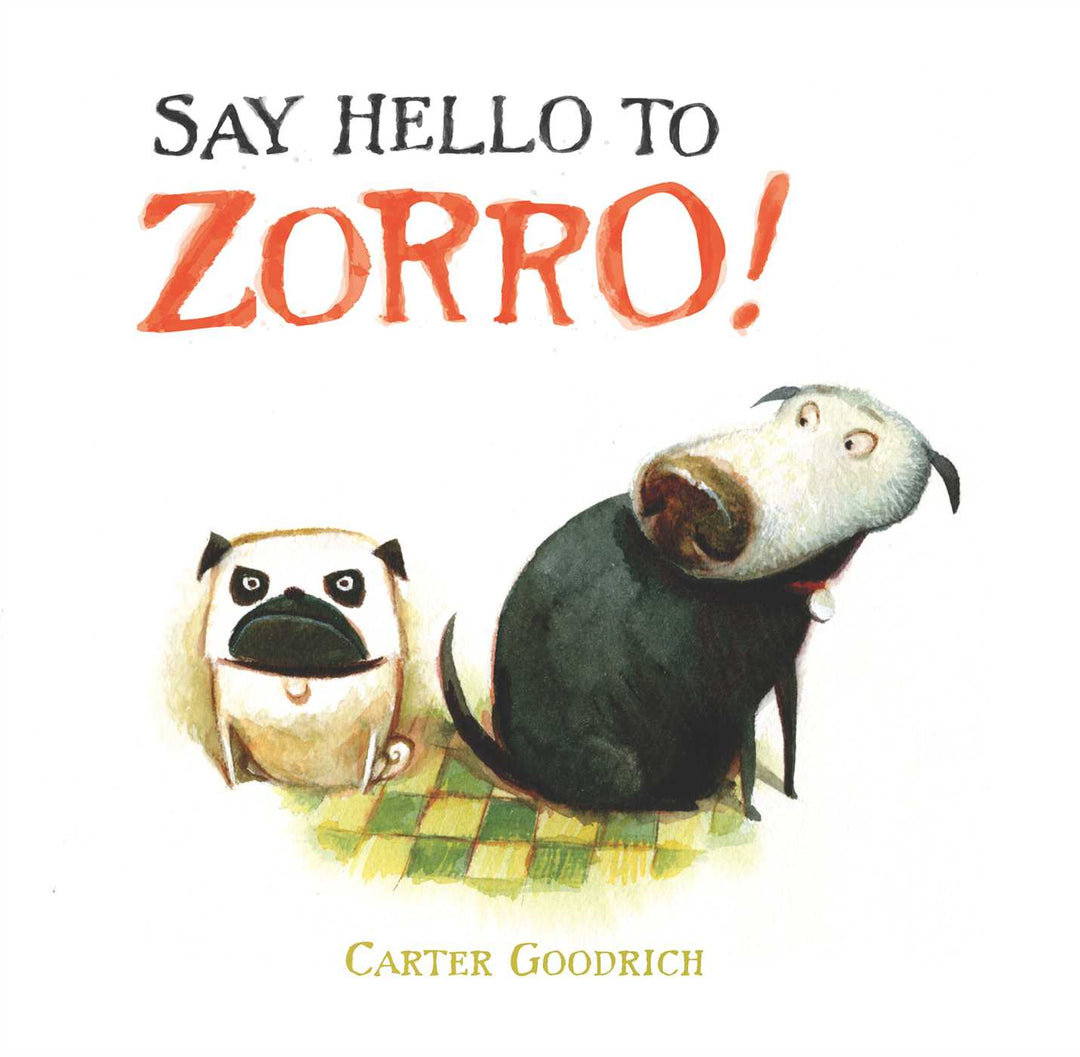 Say Hello To Zorro!