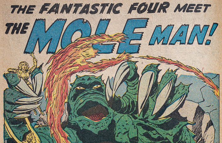Fantastic Four No. 1: Panel by Panel - Signed First