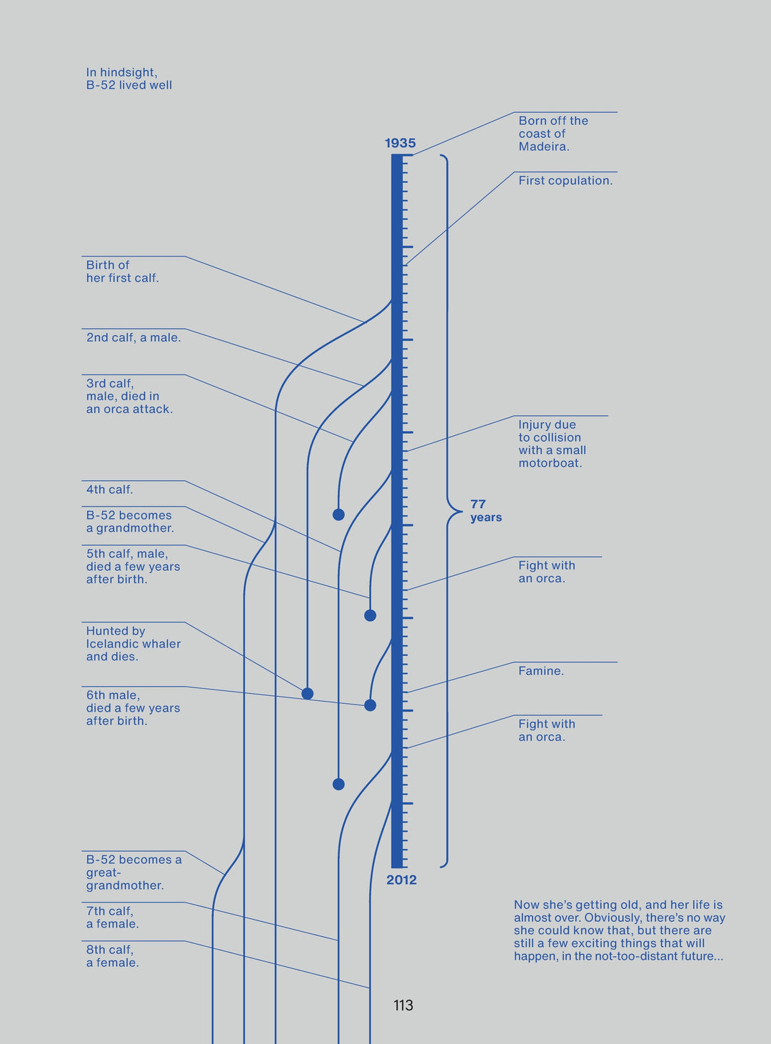 From Above: An (Info)graphic Novel