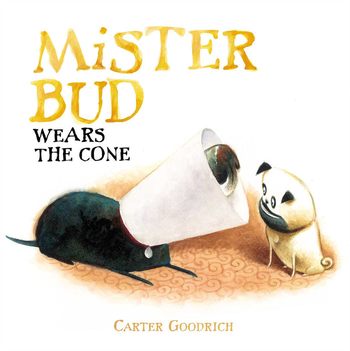 Mister Bud Wears The Cone