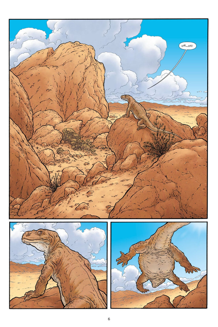 The Shaolin Cowboy: Beginning of the End Results - 21 Years of Blood, Sweat, and Chainsaws