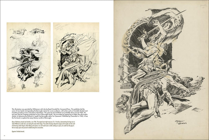 Al Williamson: Strange World Adventures - Hardcover