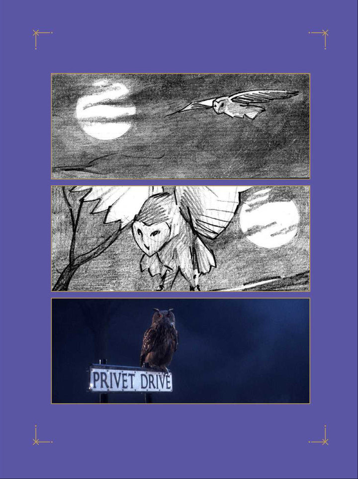 Harry Potter: The Storyboards