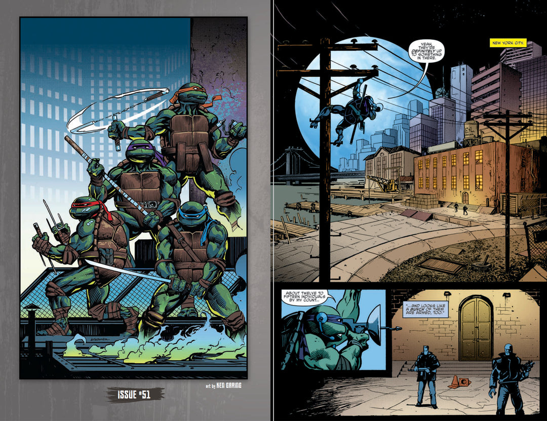 Teenage Mutant Ninja Turtles: The IDW Collection Vol. 7