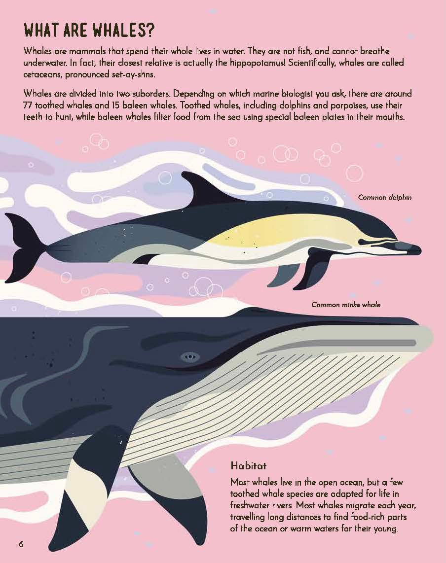 Wild About Whales