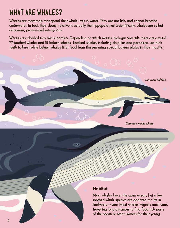 Wild About Whales