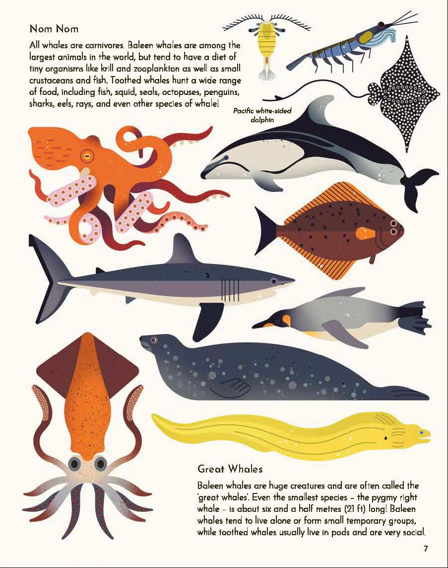 Wild About Whales