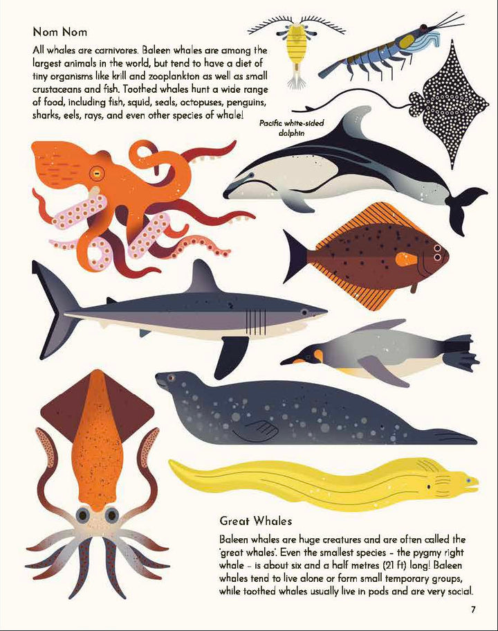 Wild About Whales