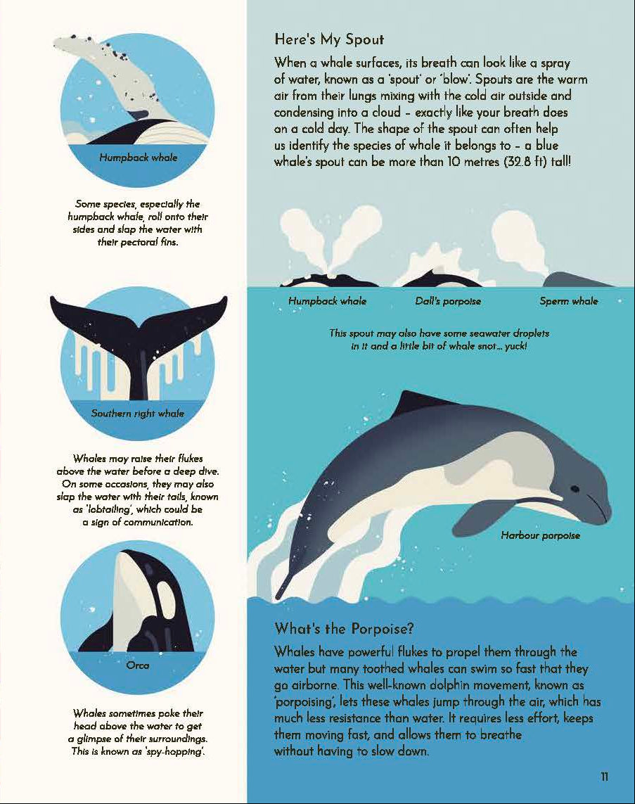 Wild About Whales