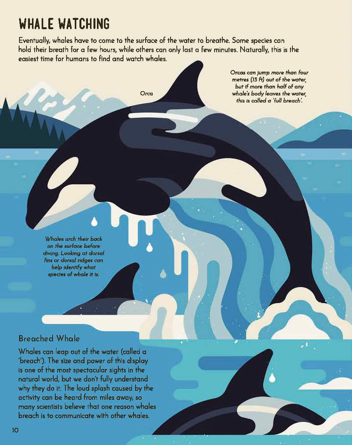 Wild About Whales
