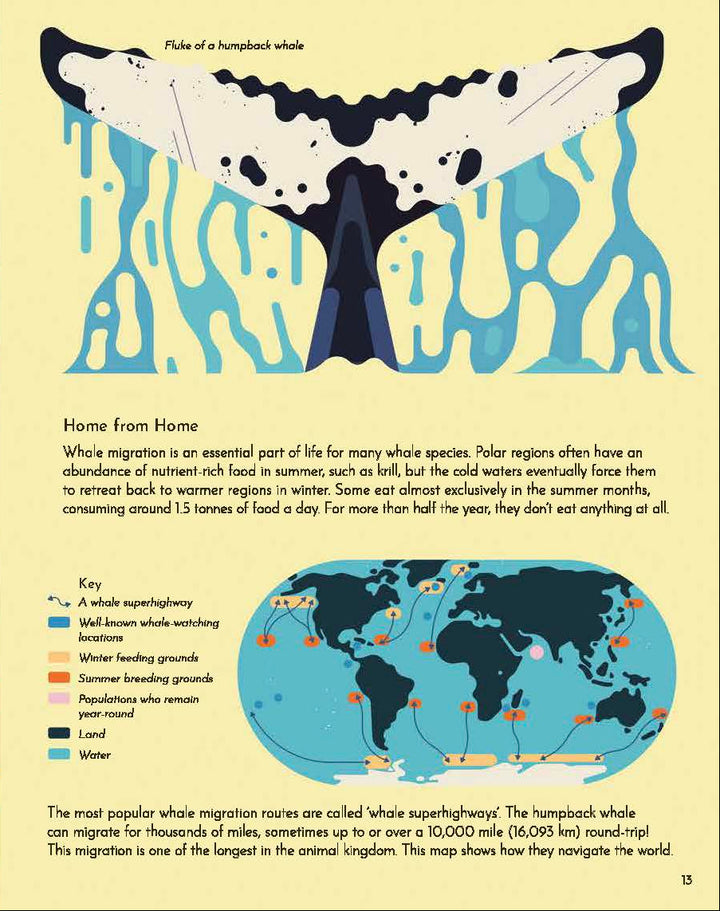 Wild About Whales