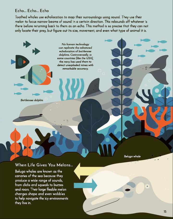Wild About Whales