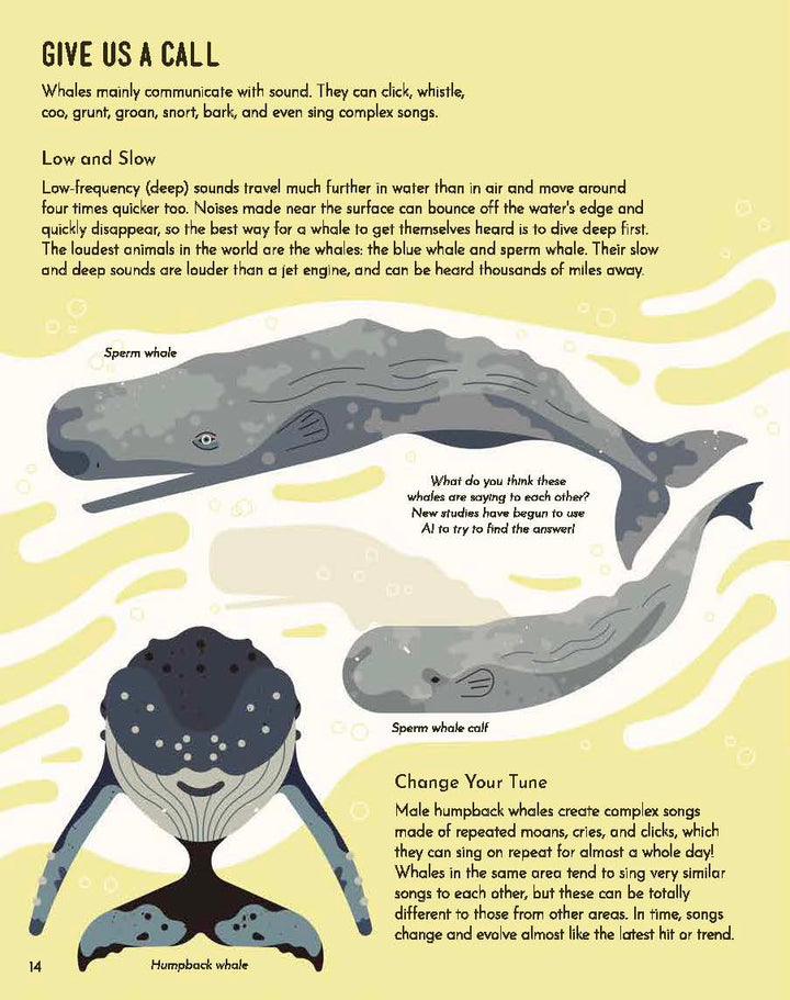 Wild About Whales