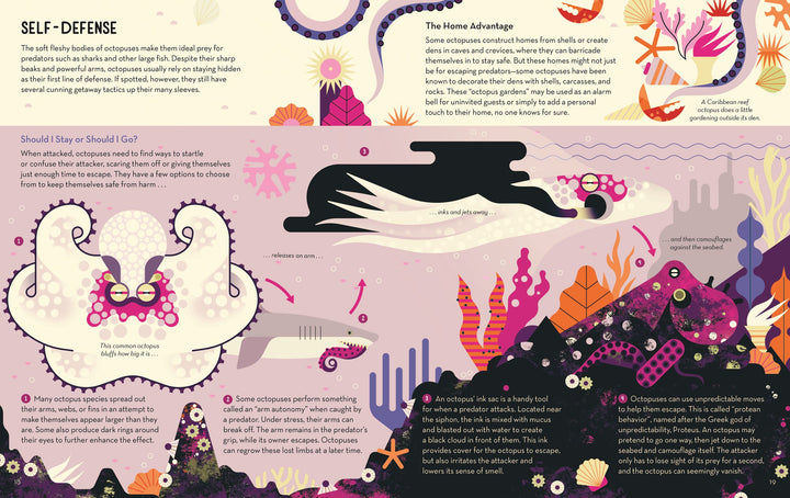 Obsessive About Octopuses