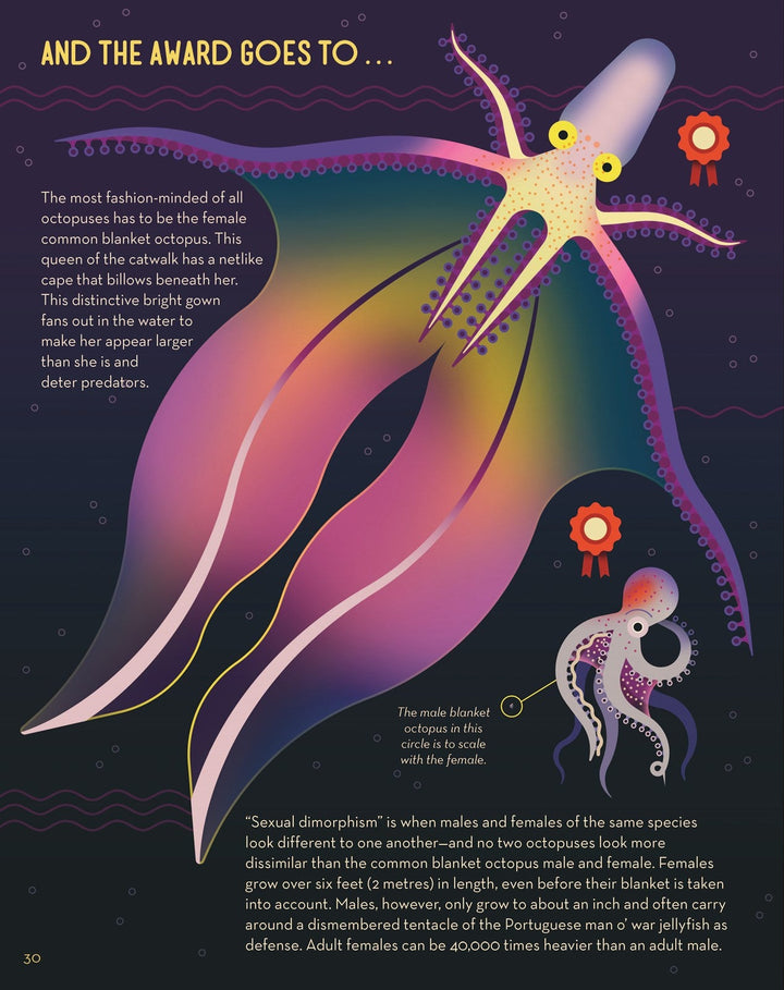 Obsessive About Octopuses