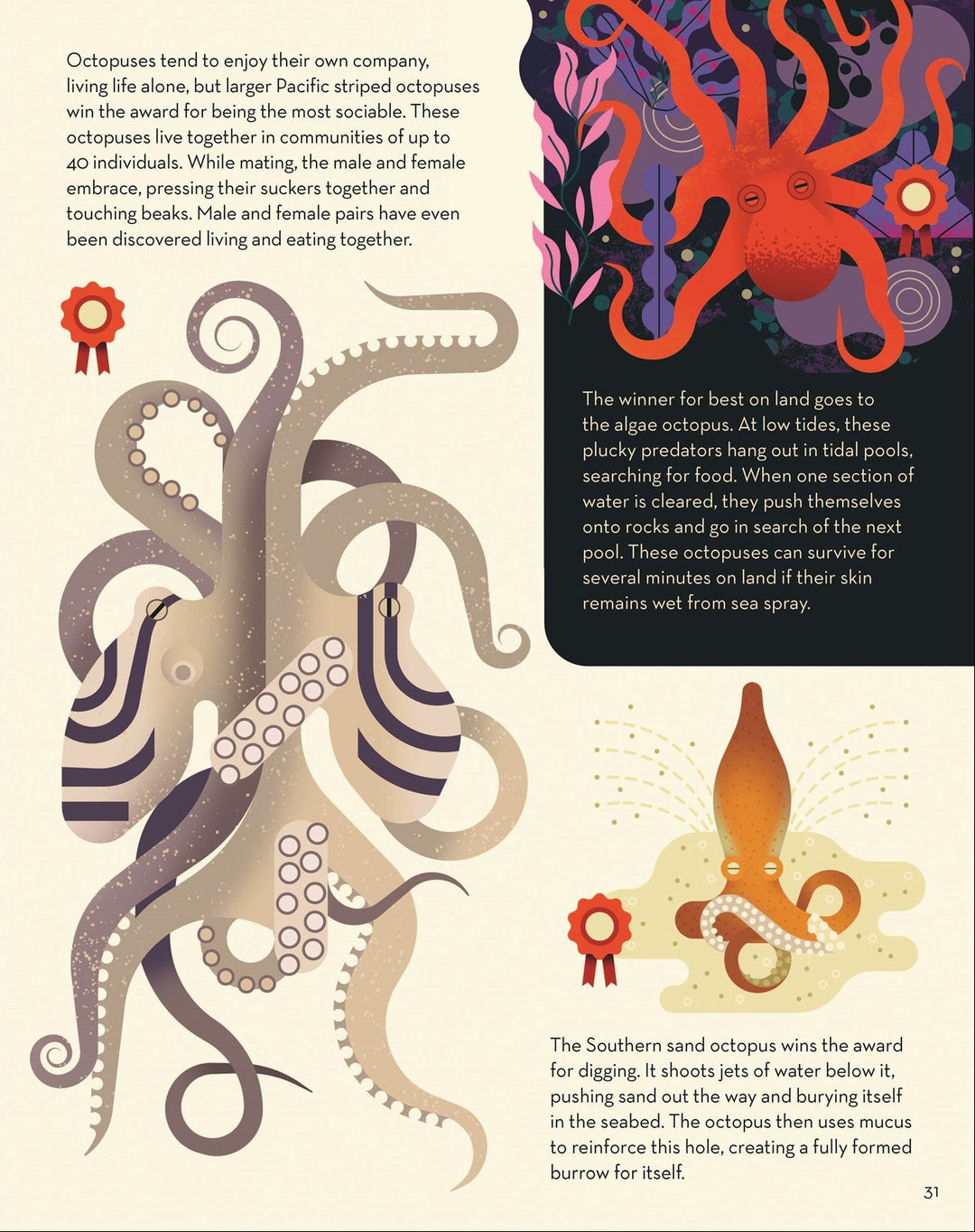 Obsessive About Octopuses