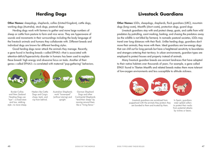 Dogs of the World: A Gallery of Pups from Purebreds to Mutts - Signed - Pre-Order