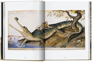 Walton Ford, Fifth Edition Revised