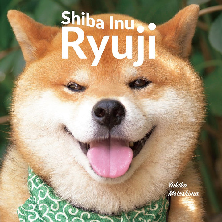 Shiba Inu: Ryuji