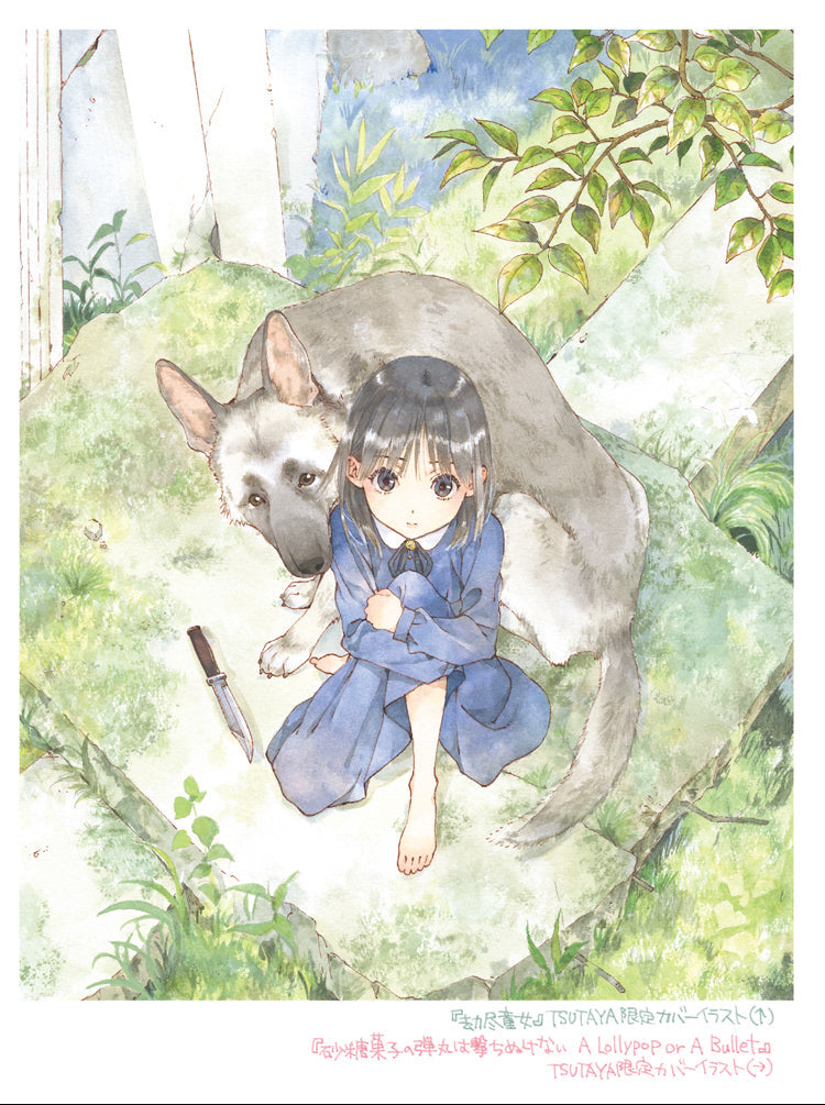 Midday Moon: The Art of Shiromizakana