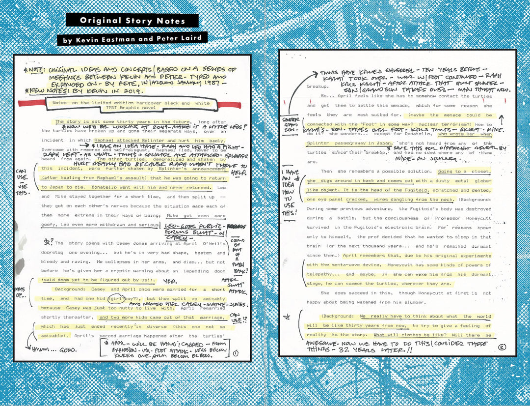 Teenage Mutant Ninja Turtles: The Last Ronin, Director's Cut