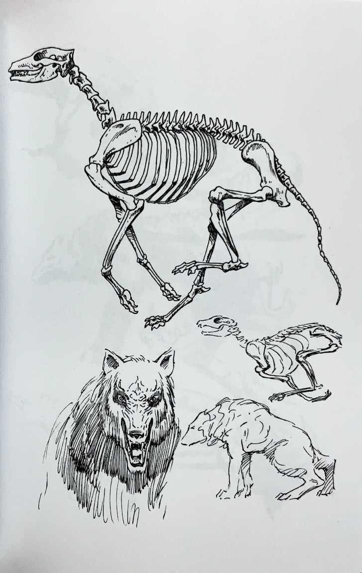 Cycle of the Werewolf Portfolio Set - Signed & Numbered