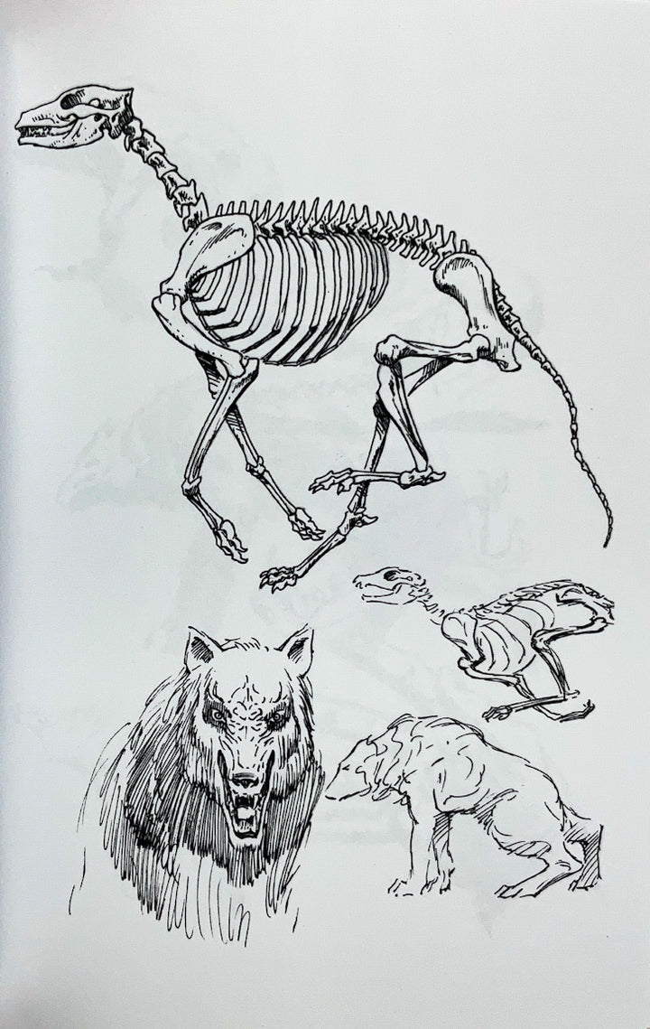 Cycle of the Werewolf Portfolio Set - Signed & Numbered