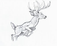 A Different Stripe: Andreas Deja's Animal Sketchbook