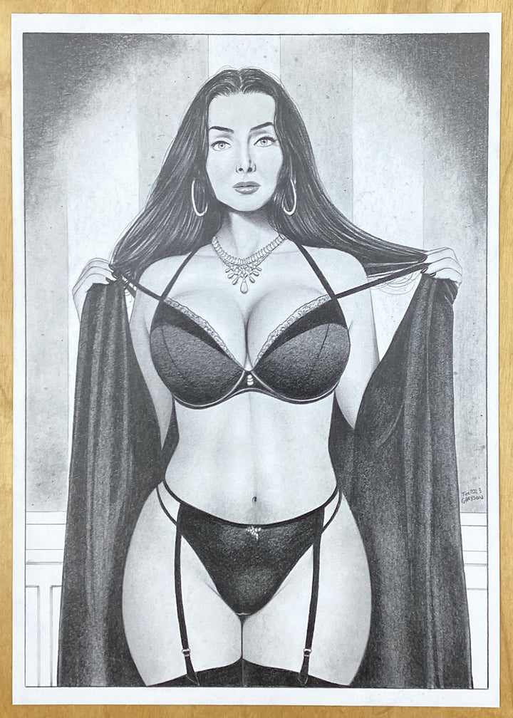 Morticia Addams Pin-Up