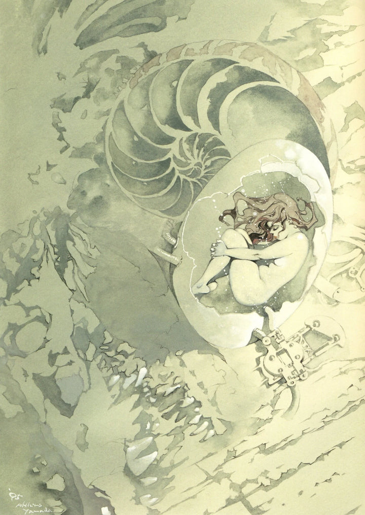 Yamada Akihiro: Fantasy Art Works