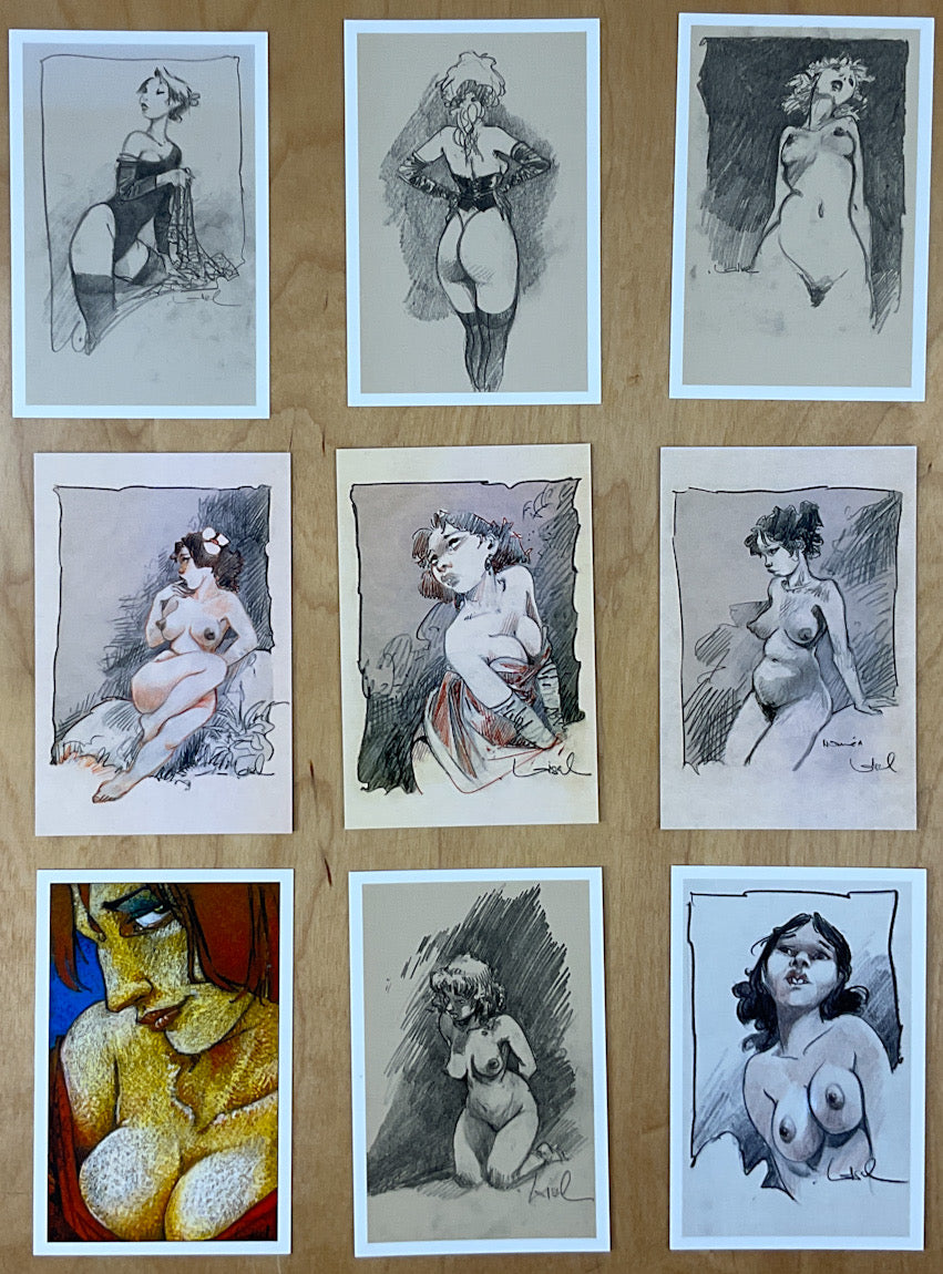Femmes Postcard Set