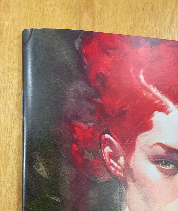 Brian Haberlin's Book of Watercolor Paintings II - Signed