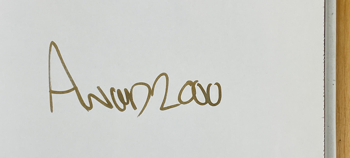 Uno Fanta: The Art of Ashley Wood - Hardcover First Signed