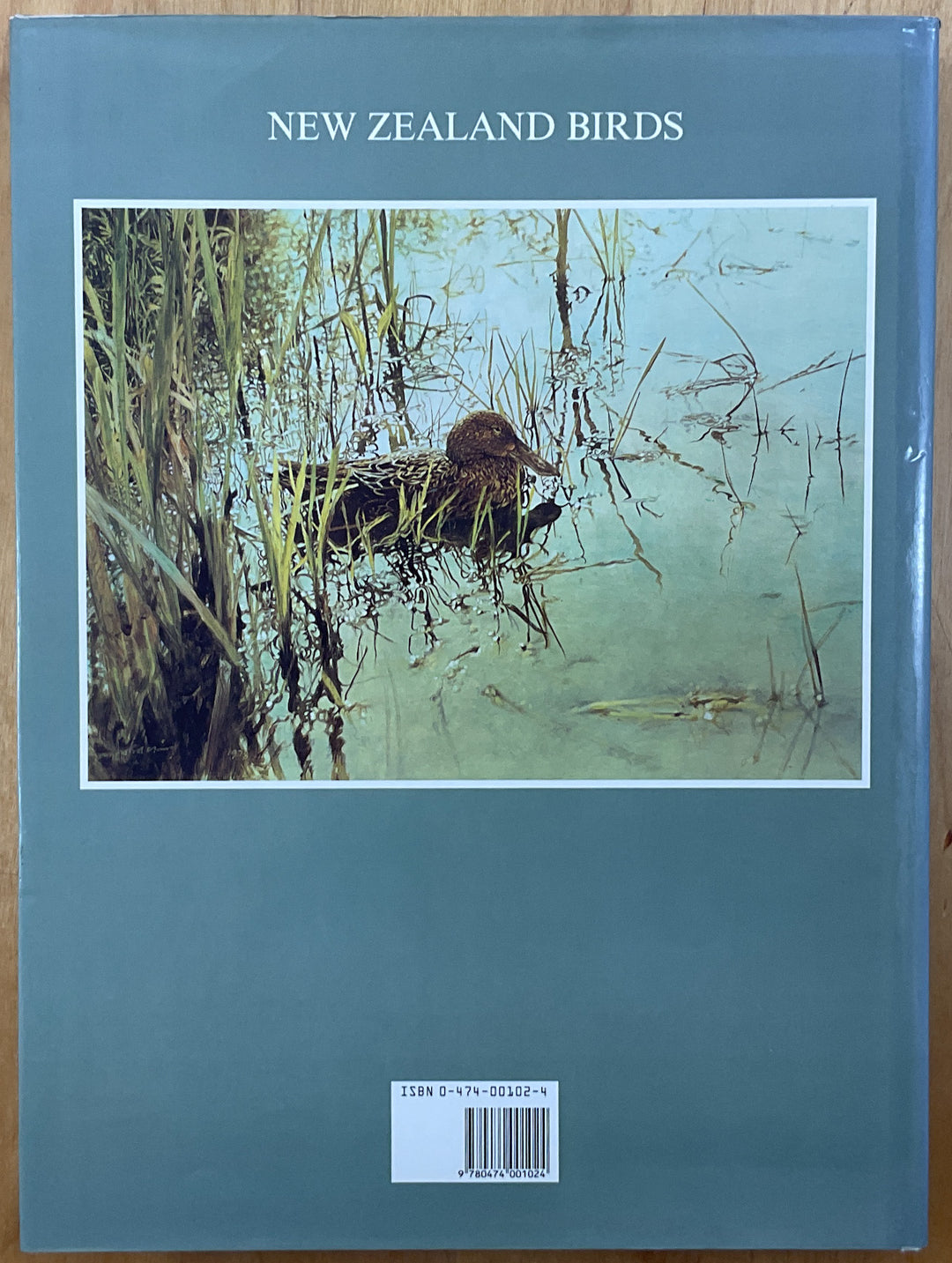 New Zealand Birds: an Artist's Field Studies