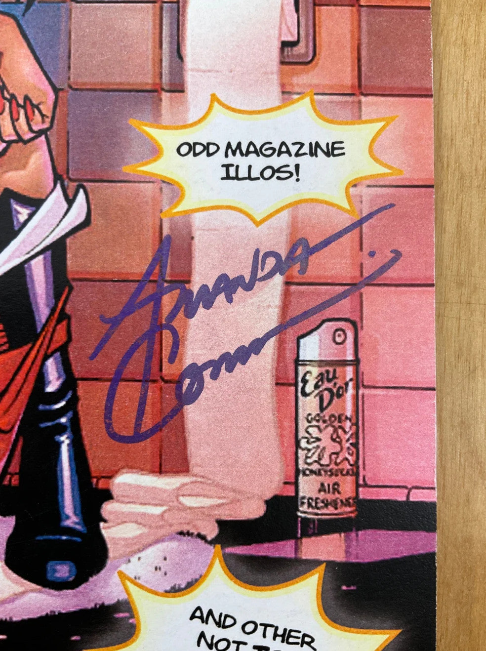 Amanda Conner's Book of $#!* You May Have Never Seen! - Signed