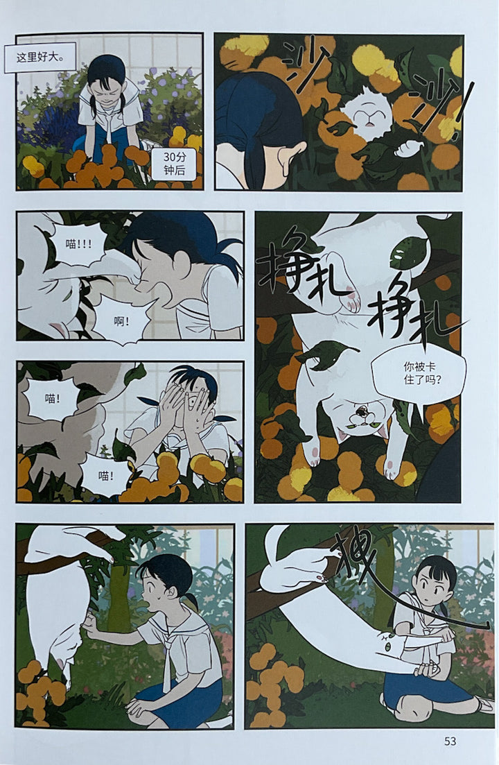 Zhaoxiane Yuan Zhixin