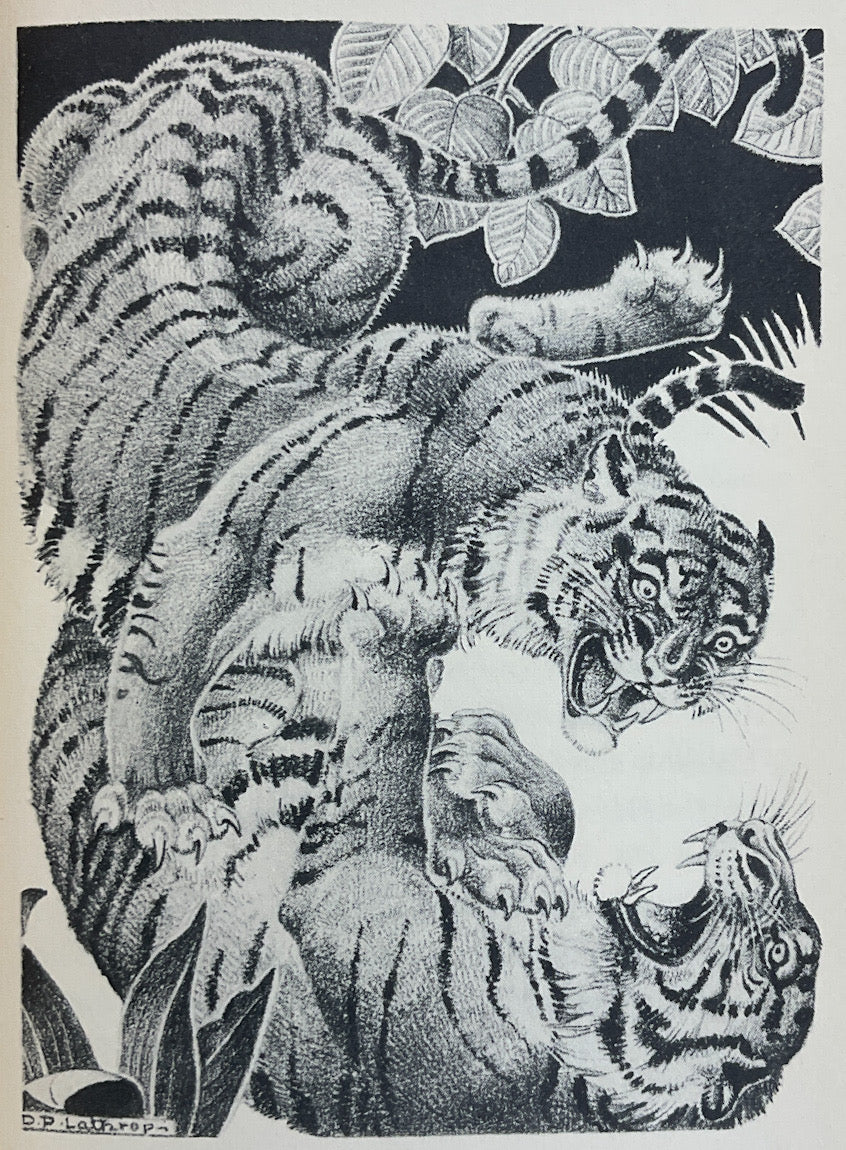 Fierce-Face: The Story Of A Tiger