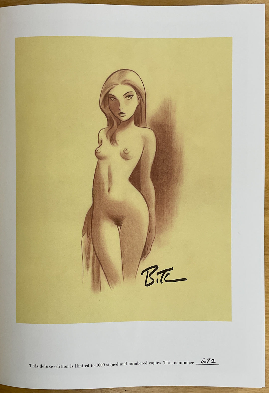 Naughty and Nice: The Good Girl Art of Bruce Timm - Signed & Numbered Hardcover Edition
