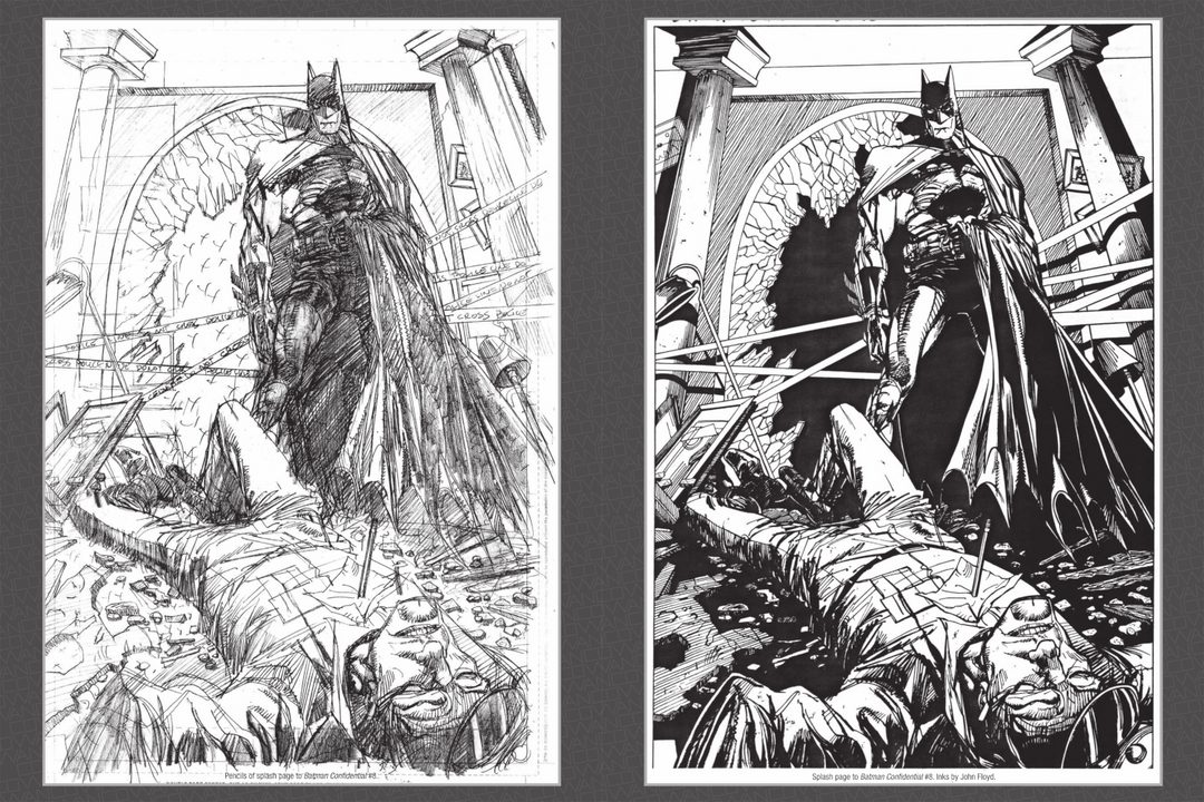 Graphic Samurai: The Art of Denys Cowan