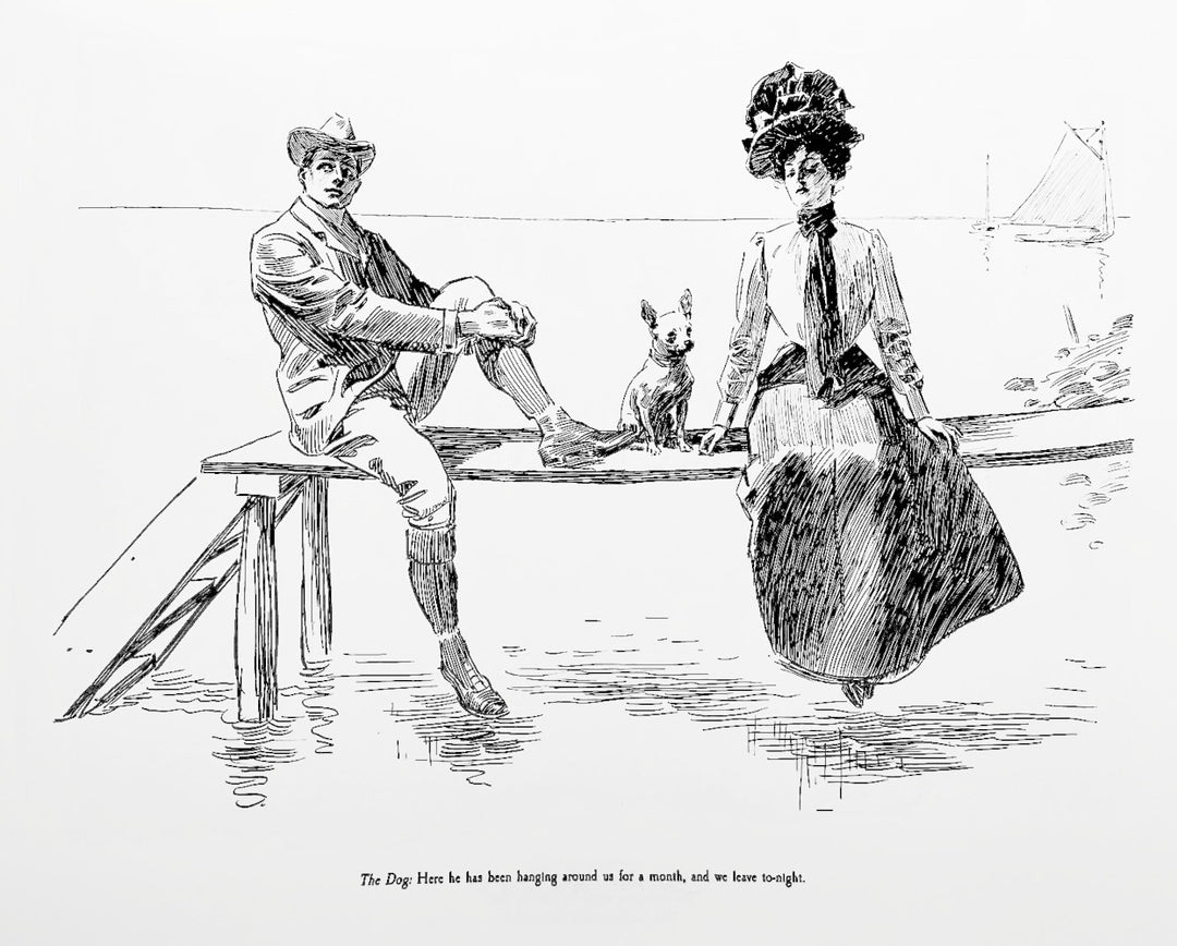 The Complete Charles Dana Gibson: A Widow and Her Friends, 1899 to 1901