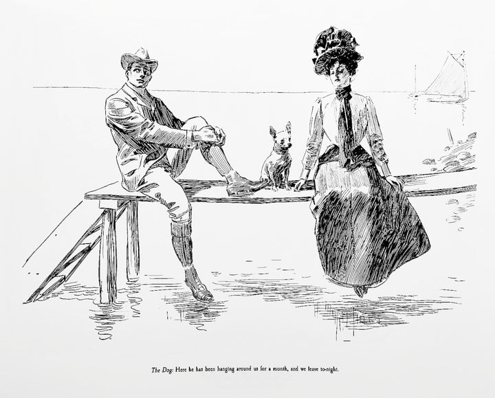 The Complete Charles Dana Gibson: A Widow and Her Friends, 1899 to 1901
