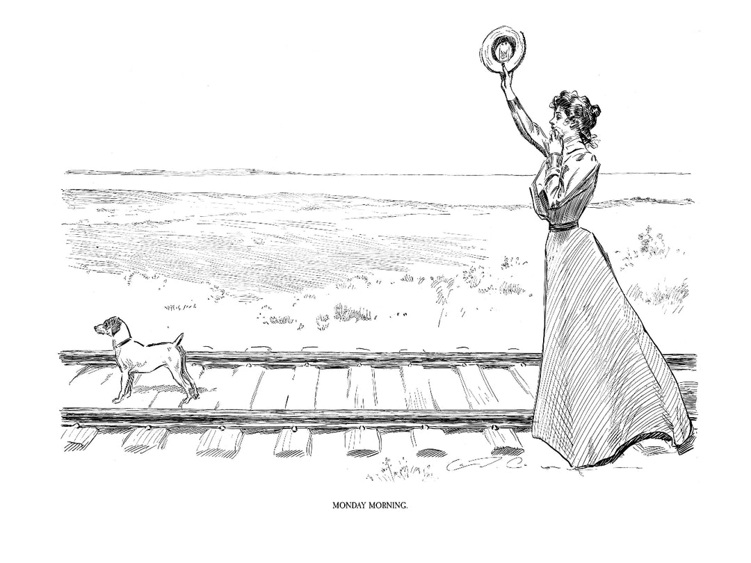 The Complete Charles Dana Gibson: A Widow and Her Friends, 1899 to 1901